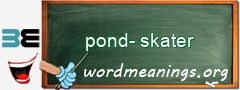 WordMeaning blackboard for pond-skater